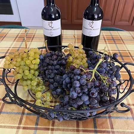 Сasa de vacaciones Dolores En Adeje