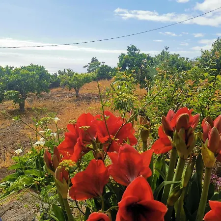 Dolores En Adeje 펜션