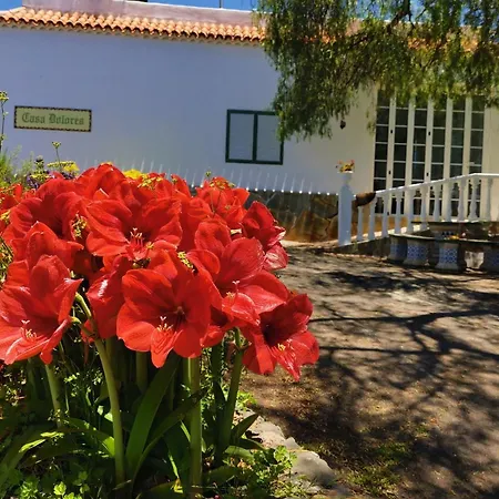 Feriehus Dolores En Adeje Costa Adeje (Tenerife)