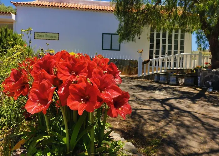 Feriehus Dolores En Adeje Costa Adeje (Tenerife)