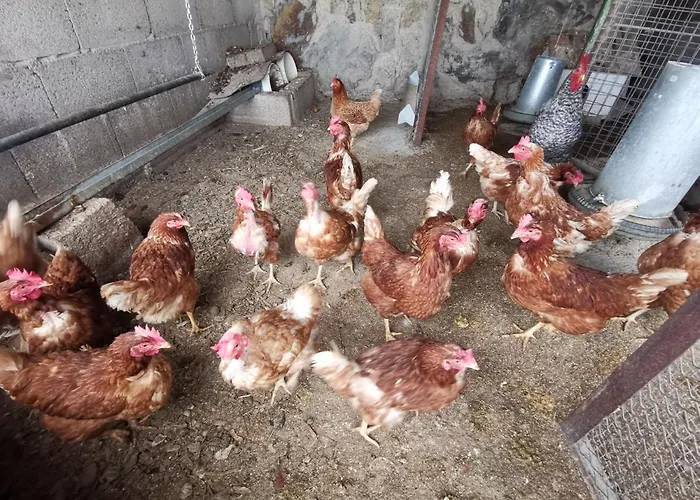 Dolores En Adeje Holiday home *