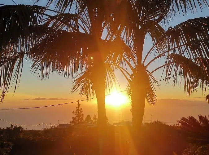 Dolores En Adeje أذيخي