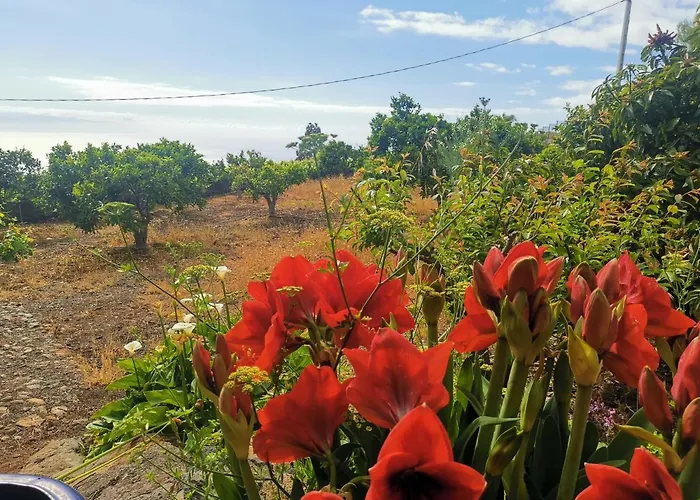 Dolores En Adeje بيت للعطل